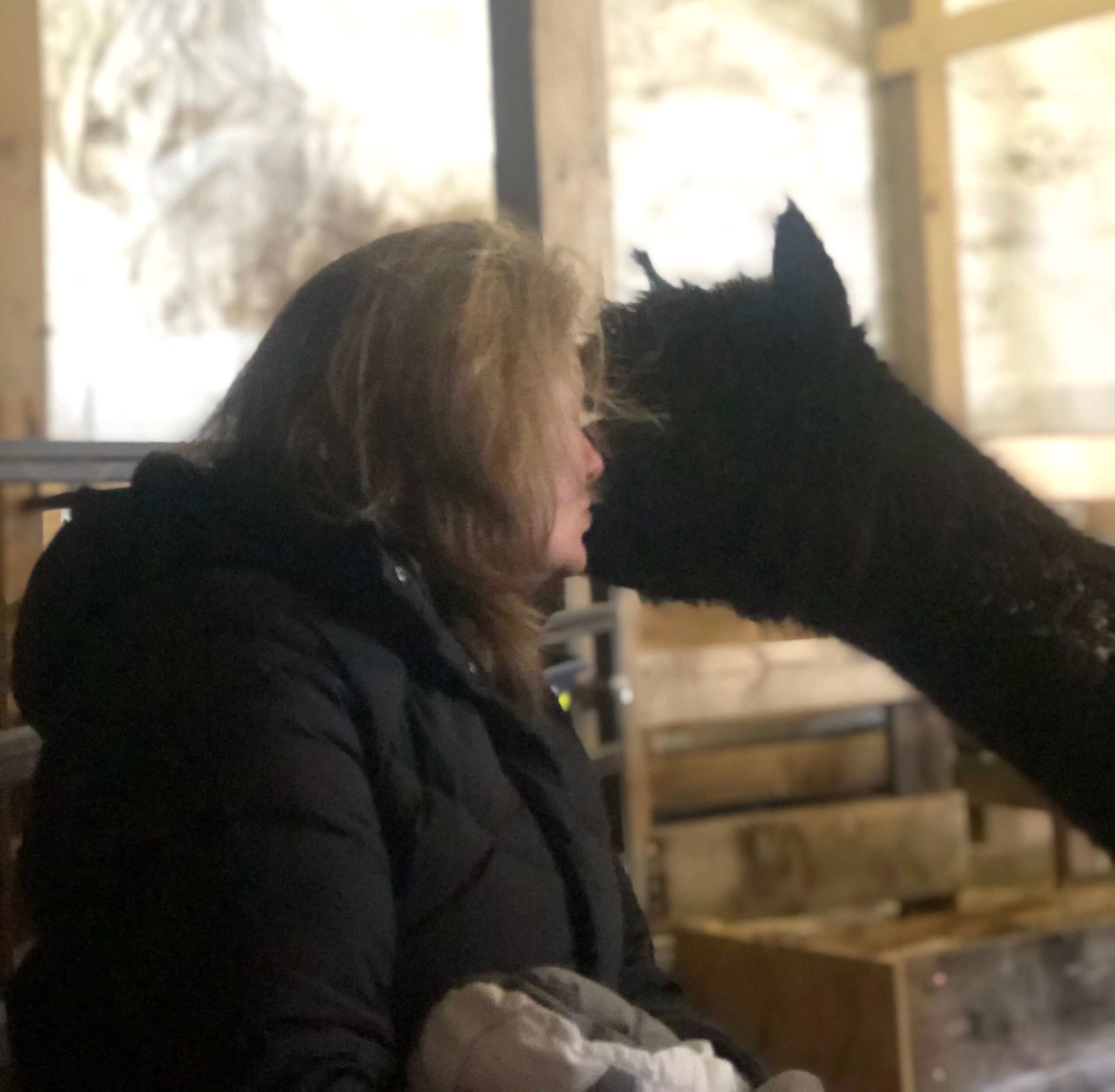 Alpaca Kisses from Stormy