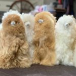 11" Plush Alpaca in Natural Colors