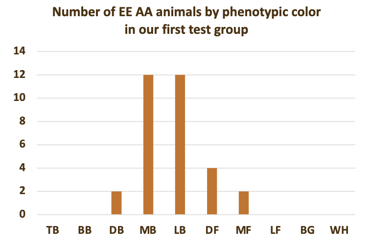 Number of EE AA animals by phenotypic color in our first test group